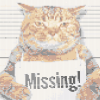 てらきゃっと : 支援員